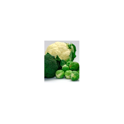 Could Cabbage and Broccoli Help in the Fight Against Alzheimer’s?
