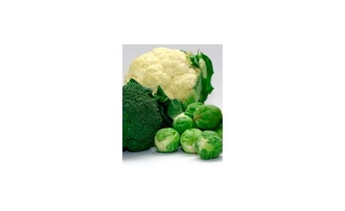 Could Cabbage and Broccoli Help in the Fight Against Alzheimer’s?