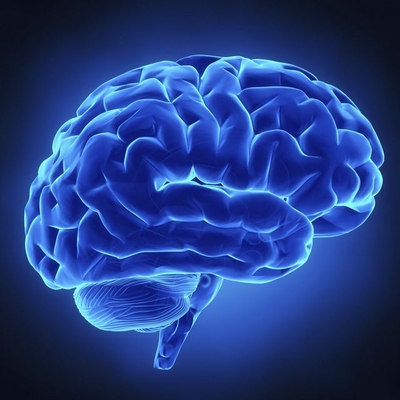 Researchers Pinpoint Brain’s Audiovisual Processing Center