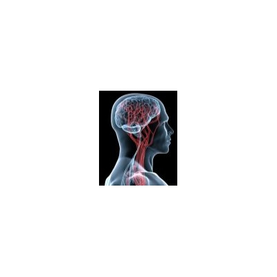 Revving up Brain’s ‘Garbage Truck’ to Treat Neurological Disorders