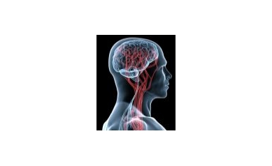 Revving up Brain’s ‘Garbage Truck’ to Treat Neurological Disorders