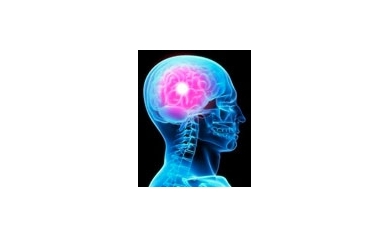 “Fingerprint” of Deadly Brain Cancer Uncovered