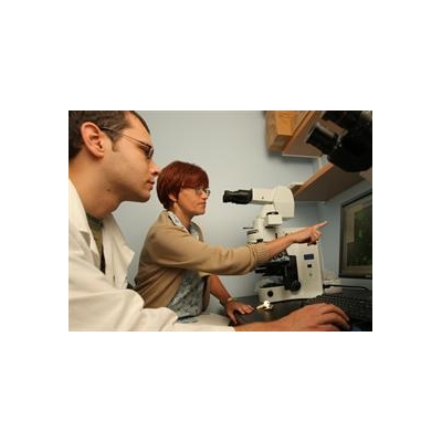 Study Promises Faster Recovery from Life-Threatening Blood Cell Shortages