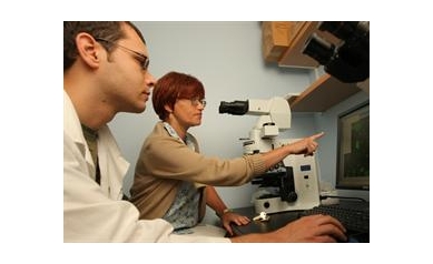 Study Promises Faster Recovery from Life-Threatening Blood Cell Shortages
