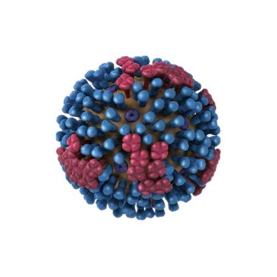 Eighty Healthy People Needed for H1N1 Flu Vaccine Studies