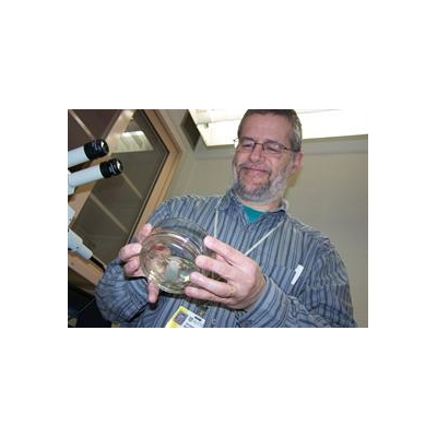 Genome Sequence Marks Big Leap Forward for Frog Researchers