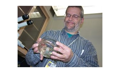 Genome Sequence Marks Big Leap Forward for Frog Researchers