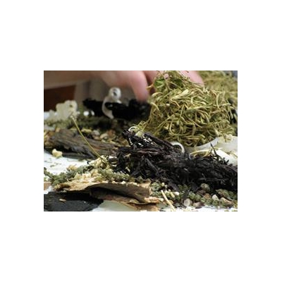 Talk on Herbs, Supplements During Care June 8 at Wilmot Cancer Center