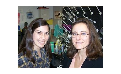 How Some Brain Cells Hook Up Surprises Researchers