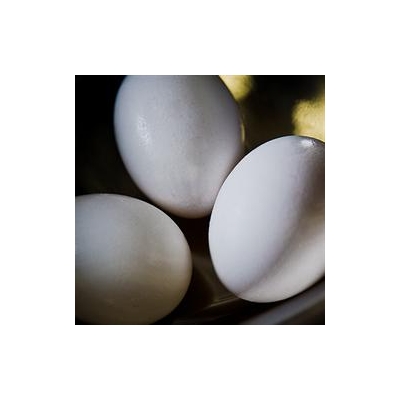 Bacteria Seek to Topple the Egg as Top Flu Vaccine Tool