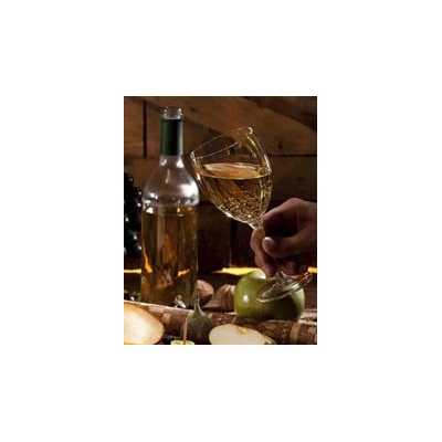 Gala Wine Tasting to Benefit Patients at URMC