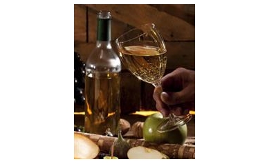 Gala Wine Tasting to Benefit Patients at URMC