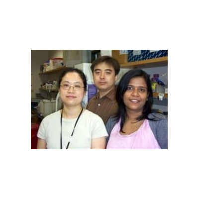 URMC Researchers Exploring Keys to Melanoma Progression