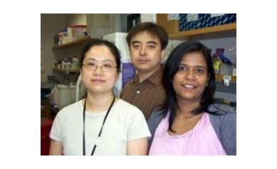 URMC Researchers Exploring Keys to Melanoma Progression