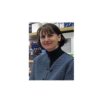 Long-Term Health Effects of Environmental Factors Is Focus of New $1.75-Million Study