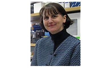 Long-Term Health Effects of Environmental Factors Is Focus of New $1.75-Million Study