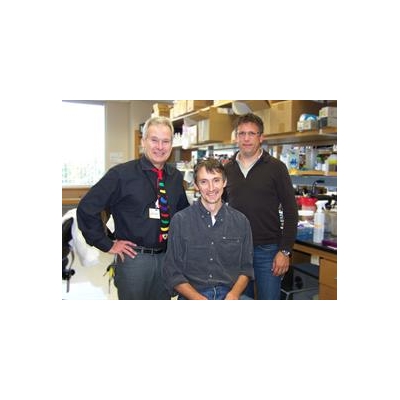 Scientists Explore Whether What Heals the Head Can Also Heal the Heart