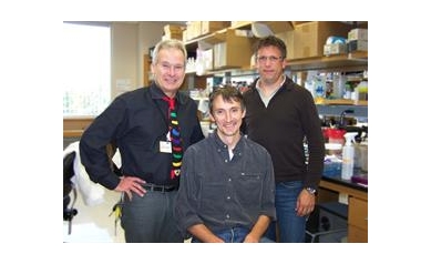 Scientists Explore Whether What Heals the Head Can Also Heal the Heart