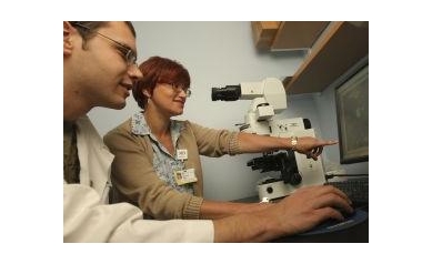 URMC Finds Leukemia Cells Are “Bad to the Bone”