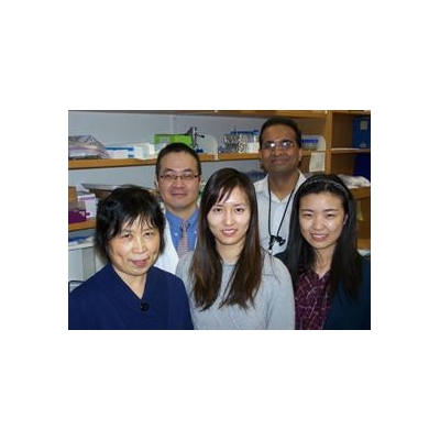 A Step Forward In Effort to Regenerate Damaged Nerves