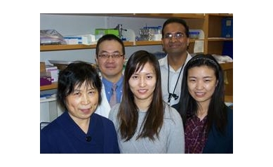 A Step Forward In Effort to Regenerate Damaged Nerves
