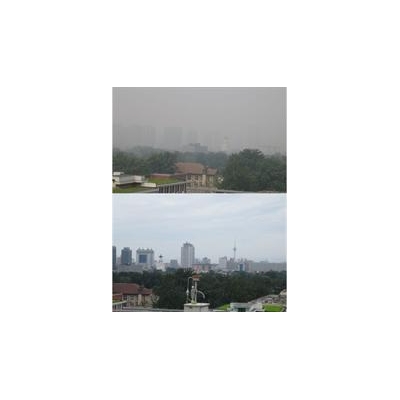 Beijing Olympics Provides Rare Window into Air Pollution’s Effect on Health