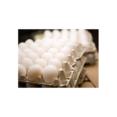 Nutrient in Eggs and Meat May Influence Gene Expression from Infancy to Adulthood