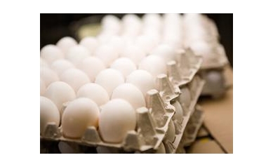 Nutrient in Eggs and Meat May Influence Gene Expression from Infancy to Adulthood