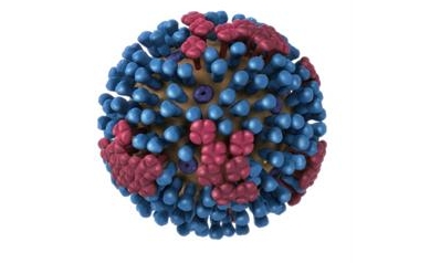 Volunteers Needed for Two Flu Vaccine Studies