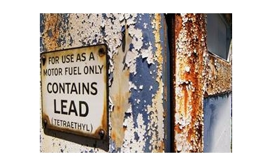 Local Laws Key to Reducing Dangers of Lead Poisoning