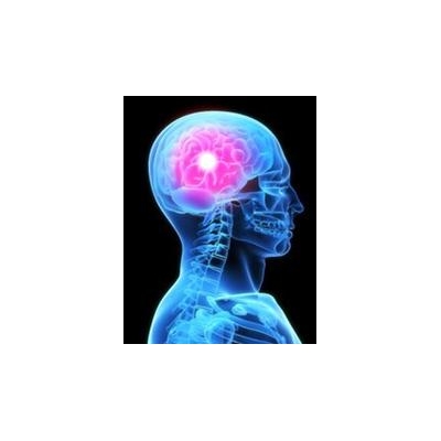 Researchers Identify Genetic Signature of Deadly Brain Cancer