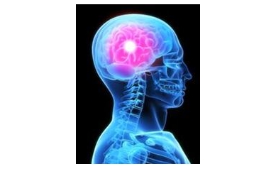 Researchers Identify Genetic Signature of Deadly Brain Cancer