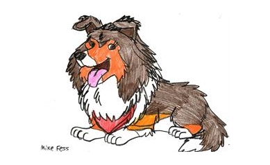 New Book is ‘Just What the Dog-tor Ordered’