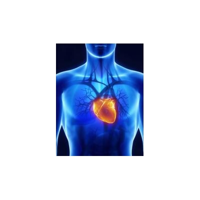 URMC Heart Research Expands to Asia with Launch of New Device Trial