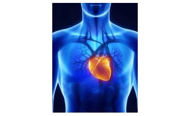 URMC Heart Research Expands to Asia with Launch of New Device Trial