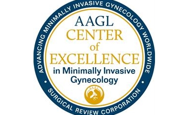 Strong Memorial Hospital Named  Center of Excellence in Minimally Invasive Gynecology