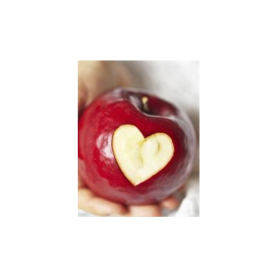 UR Medicine Cardiologists Offer Free Heart Screenings Sept. 13 at Eastview Mall