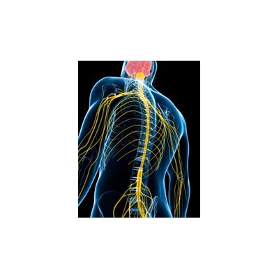 Researchers Identify New Rare Neuromuscular Disease