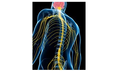 Researchers Identify New Rare Neuromuscular Disease