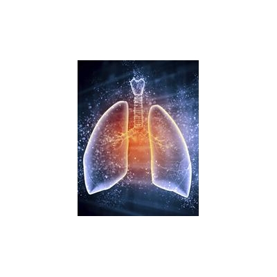 URMC Researchers Receive $6.1M to Develop LungMAP