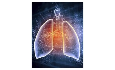 URMC Researchers Receive $6.1M to Develop LungMAP