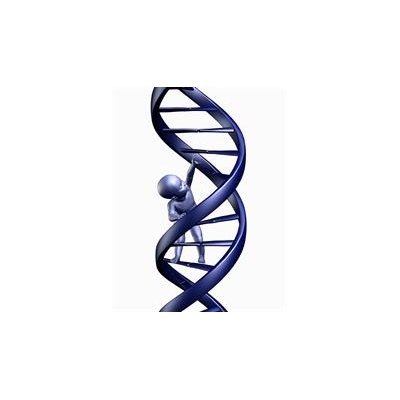 Study: Congenital Herpes Tied to Lower Developmental Test Scores in Infants