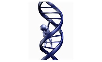 Study: Congenital Herpes Tied to Lower Developmental Test Scores in Infants
