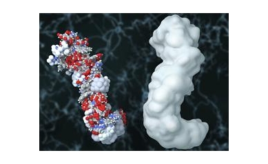 UR Medicine Conducting Numerous Alzheimer’s Treatment and Prevention Studies