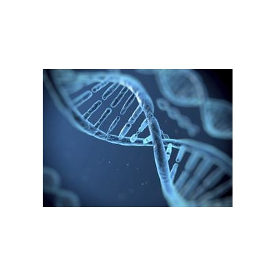 Report: UR One of Nation’s Leading Medical Research Universities