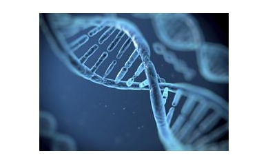 Report: UR One of Nation’s Leading Medical Research Universities