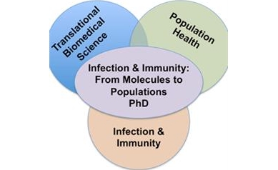 URMC Receives $2.5M for New Translational Ph.D. Track