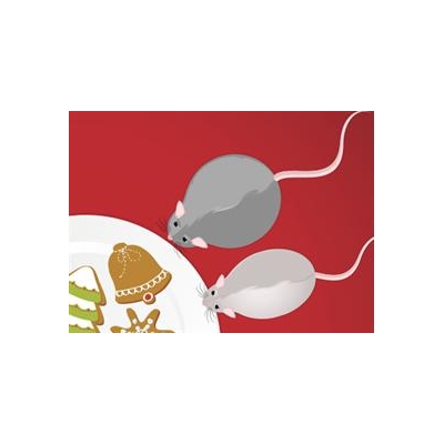 Decoding Fat Cells: Discovery May Explain Why We Gain Weight