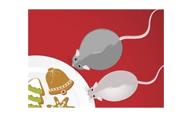 Decoding Fat Cells: Discovery May Explain Why We Gain Weight