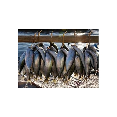 Fatty Acids in Fish May Shield Brain from Mercury Damage